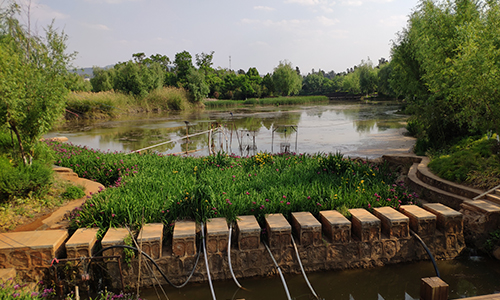 Natura in tempo reale